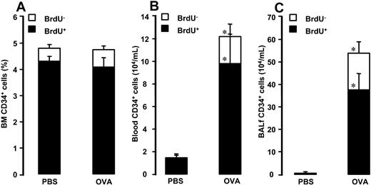Figure 1. Number of (A) BM CD34+ cells, (B) blood CD34+ cells, and (C) BALf CD34+ cells in OVA-sensitized C57BL/6 mice. Animals were exposed to PBS or OVA on 5 consecutive days. Data are shown as means + SEM. *P < .05.