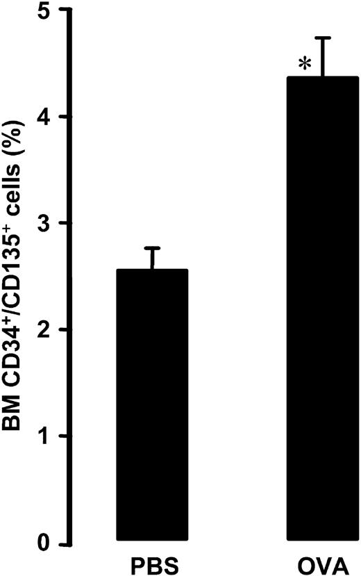 Figure 2. Relative number of bone marrow CD34+/CD135+ cells in OVA-sensitized C57BL/6 mice. Animals were exposed to PBS (PBS) or OVA (OVA) on 5 consecutive days. Data are shown as means + SEM. *P < .05.