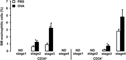 Figure 4. Relative number of bone marrow (BM) eosinophilic cells in OVA-sensitized C57BL/6 mice. Animals were exposed to PBS (PBS) or OVA (OVA) on 5 consecutive days. Data are shown as means + SEM. *P < .05.