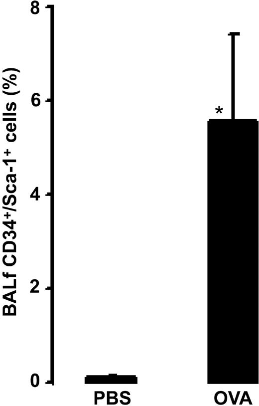 Figure 6. Relative number of BALf CD34+/Sca-1+ cells in OVA-sensitized C57BL/6 mice. Animals were exposed to PBS (PBS) or OVA (OVA) on 5 consecutive days. Data are shown as means + SEM. *P < .05.