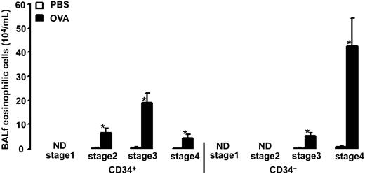 Figure 8. Number of BALf eosinophilic cells in OVA-sensitized C57BL/6 mice. Animals were exposed to PBS (PBS) or OVA (OVA) on 5 consecutive days. Data are shown as means + SEM. *P < .05.