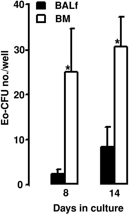 Figure 9. Number of Eo-CFUs grown from BALf and BM CD34+ cells after 8 and 14 days in semisolid culture with rIL-5. Data are shown as means + SEM from 3 separate experiments. *P < .05.