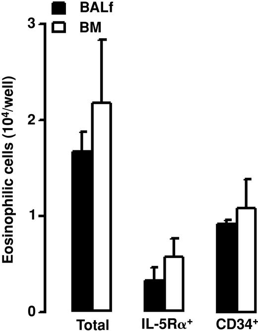 Figure 10. Number of eosinophilic cells (total), number of IL-5Rα+ eosinophilic cells (IL-5Rα+), and number of CD34+ eosinophilic cells (CD34+) recovered after 14 days in semisolid culture of BALf and BM CD34+ cells with rIL-5. Data are shown as means + SEM from 3 separate experiments.