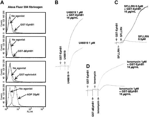 Figure 3. Activation of ephrinB1 potentiates platelet aggregation. (A) Gel-filtered platelets (200 × 109/L) were incubated with either 2 μg/mL GST-EphB1, GST-ΔEphB1, GST-ephrinA4, or 20 μM ADP in presence of 100 μg/mL Alexa-Fluor 594–labeled fibrinogen as described in “Materials and methods.” The results shown are representative of 3 experiments. (B-D) Gel-filtered platelets (200 × 109/L to 400 × 109/L) were stimulated as indicated with U46619, SFFLRN, or ionomycin in the presence of GST-EphB1, GST-ΔEphB1, or buffer, in the order shown. Representative of 4 experiments.