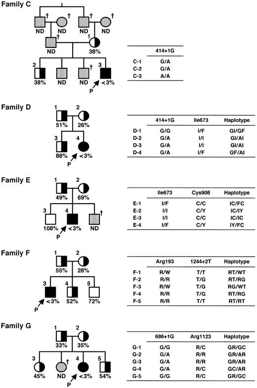 Figure 1. Pedigree and haplotypes of patient families. Squares and circles indicate males and females, respectively. Closed circles and squares with arrows with a P indicate probands. The half-closed circles and squares represent asymptomatic carriers. The cross indicates deceased. The ADAMTS13 activity is shown as a percentage of the normal control. ND indicates not determined. Mutations found in the ADAMTS13 gene are shown as one-letter amino acid abbreviations numbered from the initial Met or as nucleotides numbered from the A of the translation initiation Met codon.