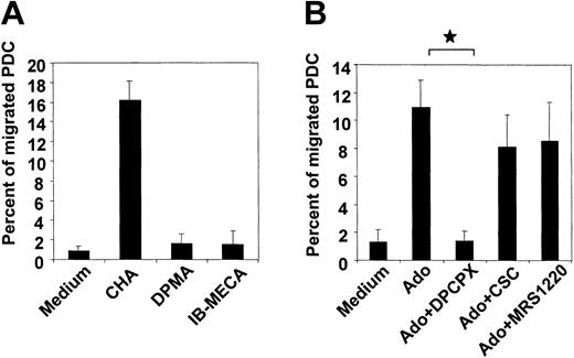 Figure 4. Chemotaxis of PDCs in response to adenosine is mediated by the A1 receptor. (A) Migration of PDCs cultured overnight in the presence of IL-3 in response to 1 μM of the A1, A2a or A3 receptor agonists CHA, DPMA, or IB-MECA, respectively. (B) Migration of PDCs toward 100 μM adenosine in the absence or presence of 10 μM of the A1,A2a, orA3 receptor antagonists DPCPX, CSC, or MRS 1220, respectively. Data represent mean ± SEM of 3 to 4 different experiments. *P < .05.