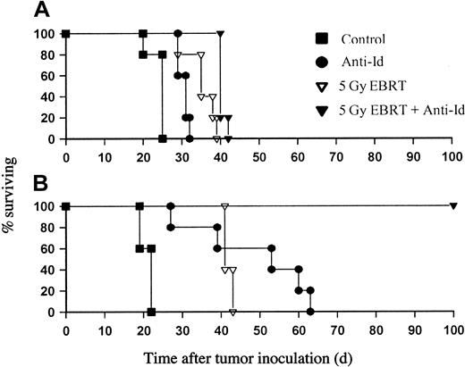Figure 1. EBRT and anti-Id mAb therapy in BCL1 and A31 lymphoma. Groups of 5 age- and sex-matched BALB/c (A) and CBA (B) mice were inoculated with BCL1 (105) or A31 (106) lymphoma cells, respectively, by intravenous injection on day 0. Mice were then treated on day 10 with 5 Gy EBRT, with or without anti-Id mAb (500 μg BCL1; 100 μg A31) given by intravenous injection 3 to 4 hours after EBRT. Survival was monitored daily. Both the BCL1 and A31 tumors show similar results to the effects of EBRT with modest increases in survival of around 15 to 20 days after 5 Gy. The differences in sensitivity to anti-Id therapy between the BCL1 and A31 models can be clearly seen, with the anti-Id alone providing 40 days additional survival over control animals, but no long-term survivors in the A31 model (B). In contrast, in the BCL1 model, anti-Id provided very modest improvements in survival of around 8 days with EBRT providing approximately 15 days over the control animals. The addition of anti-Id mAb to 5 Gy EBRT in the A31 model however provided long-term protection with a highly significant increase in survival over controls and anti-Id alone (P < .01); however, the addition of anti-Id to 5 Gy EBRT in the BCL1 model provided just 2 to 3 days over EBRT alone. This experiment is representative of 1 of 3 identical experiments performed.