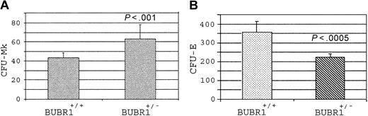 Figure 5. Effect of modulation of BUBR1 expression on hematopoiesis. Modulation of BUBR1 expression affected hematopoiesis in vitro. (A) Bone marrow cells from BUBR1+/– and wild-type mice were assayed for CFU-Mk's (P < .001, n = 12) as described in “Materials and methods.” (B) Bone marrow cells from BUBR1+/– and wild-type mice were assayed for CFU-Es (P < .0005, n = 8). Error bars represent means ± standard deviation.