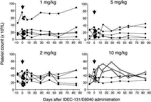 Figure 1. Serial platelet count before and after administration of IDEC-131/E6040. Five patients each were treated with 1, 2, 5, or 10 mg/kg IDEC-131/E6040. Arrows denote the day of drug infusion (day 0). In the 10 mg/kg group, ○ indicates responder; • indicates nonresponder.
