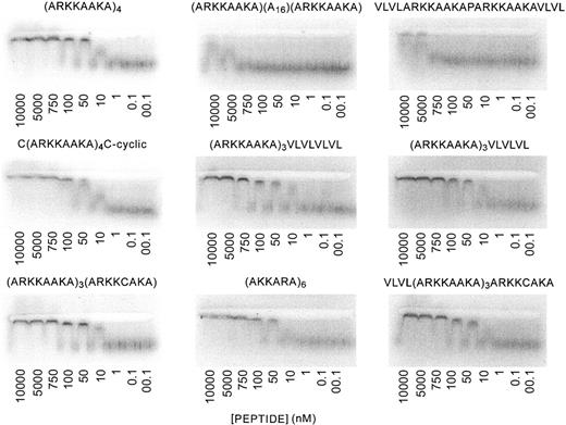 Figure 1. ACE analysis of binding of peptides to low-molecularweight heparin. ACE6 was used to study interactions between peptides and low-Mr heparin. Trace concentrations of radiolabeled heparin are electrophoresed through agarose lanes containing proteins at various concentrations. The electrophoretic patterns of radiolabeled heparin are then visualized using a Phosphorimager, and Kds of peptide-heparin interactions were calculated from binding plots. Per peptide, 4 assays were performed. Results of all the experiments are shown in Table 1. The panels show the Phosphorimager tracings of the ACE gels, and the concentration of peptide used in each lane is shown.