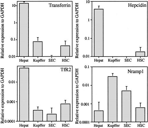 Figure 1. The qRT-PCR analysis of hepatocyte-specific genes transferrin (Tf), hepcidin, and TfR2 and Kupffer cell–specific gene Nramp1. The expression level of each gene is given as the amount relative to the expression of the housekeeping gene GAPDH in each sample. The results represent the average values of 5 hepatocyte (Hepat), 7 Kupffer cell (Kupffer), 4 SEC, and 6 HSC samples. Error bars represent standard deviation.