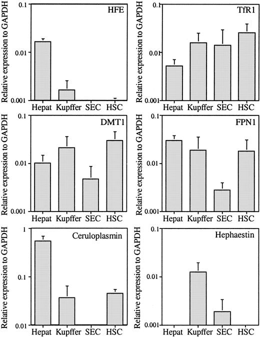 Figure 2. The qRT-PCR analysis of HFE, FPN1, TfR1, ceruloplasmin, and DMT1 genes. The mRNAs were analyzed and presented as described in the Figure 1 legend.