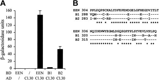 Figure 3. Differential interaction of EBP with EEN family members. (A) Quantitative liquid culture assay. Lysates of cotransformants were quantified with ONPG substrate. Each data point represents the average ± SD of 3 independent experiments. (B) Amino acid alignment of the SH3 domains of EEN family members. Identical residues are indicated by dashes, and consensus residues among family are marked by asterisks.