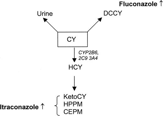 Figure 2. Schematic of CY metabolism. A fraction of CY is excreted unchanged in urine. The remaining prodrug (CY) is converted to DCCY or oxidized to HCY by CYP2B6, 3A4, and 2C9. HCY is further degraded to alternative metabolites (shown here are ketoCY, HPPM, and CEPM). Relative quantities of metabolites measured in fluconazole and itraconazole recipients are shown.