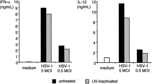 Figure 4. IFN-α and IL-12 production by bone marrow–derived IPC in response to UV-inactivated HSV-1. Bone marrow–derived IPCs (5 × 105/mL, 129/SvJ strain) were incubated with untreated and UV-inactivated KOS HSV-1 at 5 and 0.5 MOI for 24 hours. IFN-α (left panel) and IL-12 (right panel) were measured in the supernatants using ELISA. UV-inactivated KOS HSV-1 effectively stimulated IPCs sorted from splenocytes (data not shown).