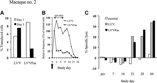 Figure 3. LV'VFas+ T cells can be ablated by AP1903 in vivo. (A-B) Analysis of PBMCs for the in vivo persistence of LV'V+ and LV'VFas+ T cells after simultaneous transfer to macaque no. 2. Dosing of AP1903 (0.2 mg/kg) was begun 1 day after the T-cell infusion and was then given every other day for a total of 5 doses. (A) DNA was isolated from PBMCs collected 1 day (□) and 3 days (▪) after the T-cell infusion and assayed for the frequency of LV'V or LV'VFas-containing cells by TaqMan PCR. (B) The in vivo persistence of LV'V+ (⋄) and LV'VFas+ (♦) T cells was examined for the frequency of vector-containing cells by TaqMan PCR. The 100% value was assigned to the frequency of LV'V+ or LV'VFas+ T cells among PBMCs at day 1, prior to the initial dose of AP1903. Values for subsequent dates are calculated as the percent change in transduced cells among PBMCs compared with the day 1 value. The arrow indicates the day of the T-cell infusion. (C) Transgene product-specific cytolytic T-cell responses after the transfer of LV'V+ and LV'VFas+ T cells. PBMCs were collected from macaque no. 2 on the indicated days and stimulated with autologous γ-irradiated LV'V or LV'VFas-modified T cells twice 1 week apart. Specific cytotoxicity was examined in a chromium release assay for recognition of either parental (□), or LV'VFas+ (▪) target cells. Data are shown for an E/T ratio of 20:1.