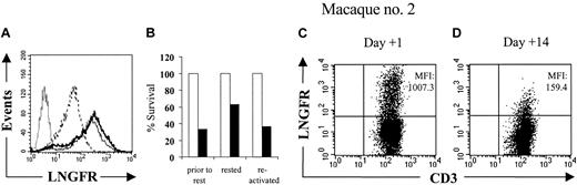 Figure 5. The sensitivity of LV'VFas+ T cells to AP1903 correlates with the level of transgene expression. (A) Analysis of ΔLNGFR expression in LV'VFas+ T cells by flow cytometry either prior to rest (thin line), rested for 12 days in the presence of autologous γ-irradiated feeder cells (dashed line), or after subsequent in vitro reactivation using anti-CD3 and anti-CD28 mAbs and culture for 14 days (thick line). The LV'VFas+ T cells were stained with anti-CD3 and anti-LNGFR mAbs, and expresssion of ΔLNGFR was evaluated by gating on CD3+ T cells. Unmodified T cells (dotted line) were stained in an identical fashion. (B) Aliquots of the T-cell cultures either prior to rest, rested, or after reactivation, were exposed to 10 nM of AP1903 (▪) or to medium alone (□), and viability was assessed by trypan blue exclusion after 24 hours. (C-D) Residual LV'V and LV'VFas+ T cells display reduced levels of ΔLNGFR expression. Analysis of PBMCs for the in vivo persistence of LV'V+ and LV'VFas+ T cells after simultaneous transfer to macaque no. 2. Dosing of AP1903 (0.2 mg/kg) was begun 1 day after the T-cell infusion and was then given every other day for a total of 5 doses. PBMCs collected from macaque no. 2 1 day (C) or 14 days (D) after the T-cell infusion were stained with both anti-LNGFR and anti-CD3 mAbs, and evaluated by flow cytometry. The cells are gated on CD3+ T cells. The mean fluorescence intensities (MFIs) of the ΔLNGFR expression are indicated in the upper right of each panel.