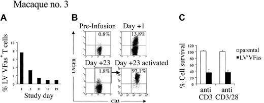 Figure 6. AP1903 sensitivity of LV'VFas+ T cells correlates with the level of transgene expression. (A) LV'VFas+ T cells (5 × 109/m2) were infused to macaque no. 3 and AP1903 (0.1 mg/kg) was given on day 1 and then every other day for 10 doses. PBMCs collected before and at the indicated days after infusion were analyzed by a quantitative real-time PCR assay for the presence of an LV'VFas sequence. Percentages (%) LV'VFas+ cells within PBMCs are as indicated. (B) Residual LV'VFas+ T cells express reduced levels of ΔLNGFR that are up-regulated by activation. PBMCs from macaque no. 3 before (upper left panel) and 1 day (upper right panel) or 23 days (lower left panel) after the T-cell infusion were stained with both anti-LNGFR and anti-CD3 mAbs, and evaluated by flow cytometry. The cells were gated on CD3+ T cells and the percentage of cells positive for both ΔLNGFR and CD3 are indicated in the upper right of each panel. The residual ΔLNGFR+ T cells present in PBMCs on day 23 (lower left panel) were sorted based on expression of ΔLNGFR and activated in vitro using anti-CD3 mAb alone or both anti-CD3 and anti-CD28 mAbs, respectively, in the presence of autologous γ-irradiated PBMCs. After 5 days of culture, cells were stained with both anti-LNGFR and anti-CD3 mAb (lower right panel). (C) Aliquots of LV'VFas+ (▪) cells were exposed on day 5 to 8 of the culture for 2 hours to 10 nM AP1903 or medium alone. Cells were cultured for 24 hours, and cell death as compared to the untreated cells was assessed by trypan blue exclusion or staining with 7-AAD. Aliquots of parental T cells (□) derived from pretreatment PBMCs were also stimulated and served as negative controls. Data are shown as the mean (± SD) of 3 experiments.