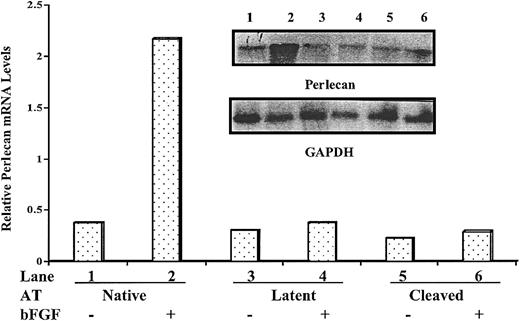 Figure 5. Northern blotting analysis of perlecan mRNA expression in antithrombin-treated HUVECs. Total mRNA was isolated from HUVECs cultured under the conditions of Figure 4 and perlecan mRNA expression was analyzed by Northern blotting using a perlecan domain III cDNA probe as described in “Materials and methods.” The same blot was probed with GAPDH cDNA as a loading control. Normalized band intensities are shown.