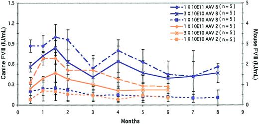 Figure 3. Dose comparison of AAV8 and AAV2 in canine single-chain intraportal delivery. AAV serotypes 8 and 2 were evaluated at 3 different doses, 1 × 1011, 3 × 1010, and 1 × 1010 gc/mouse. At the high and mid doses, AAV8 expresses normal levels of FVIII activity as measured against the canine standard curve and supraphysiologic levels based on the murine standard curve. Interestingly, AAV2 shows improved levels of expression when delivered as a single vector compared to the 2-vector approach at the same doses and time points.