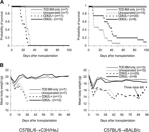 Figure 3. Effect of CD62L– T cells from unprimed animals on GVHD. T cells were transplanted into lethally irradiated allogeneic host along with T cell–depleted bone marrow cells. The data were pooled from 2 to 3 independent experiments. (A) Survival. P < .0001, CD62L– versus unseparated or CD62L+. (B) Weight curve.