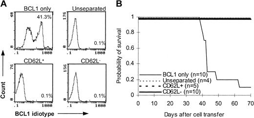 Figure 6. Antitumor effect of CD62L– T cells from BCL1-primed C57BL/6 mice. T cells from BCL1-primed C57BL/6 mice were injected together with 1 × 104 purified BCL1 cells into B6 SCID mice. Development of BCL1 leukemia was monitored by flow cytometry using anti-BCL1 idiotype antibody. (A) Flow cytometric analysis of BCL1 cells in peripheral blood. The percentages represent BCL1 cells in peripheral blood obtained on day 35. (B) Survival; P < 001, BCL1 only versus other groups.