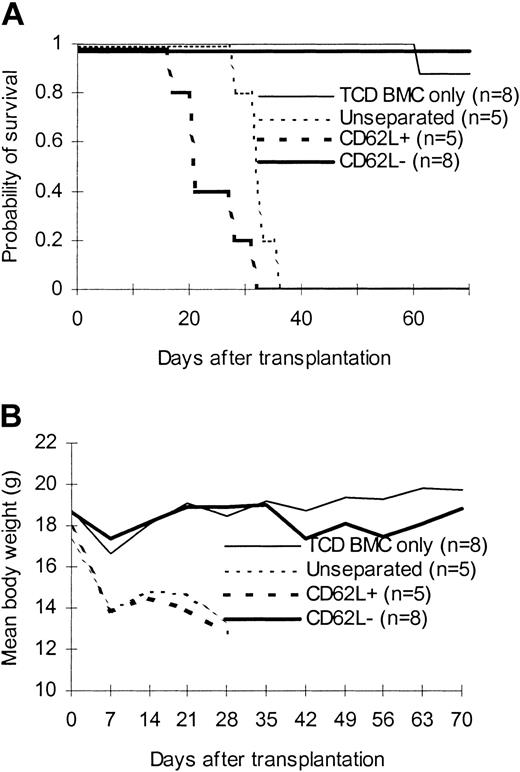 Figure 7. Effect of CD62L– T cells from BCL1-primed animals on anti–third-party GVHD. T cells from BCL1-primed C57BL/6 mice were transplanted along with T cell–depleted bone marrow into lethally irradiated third-party C3H/HeJ mice. (A) Survival; P < .001, CD62L– versus unseparated or CD62L+. (B) Weight curve; P < .001, CD62L– versus other groups.