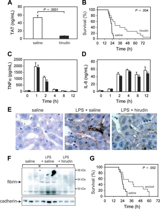 Figure 3. Effect of administration of hirudin and ancrod on endotoxemic mice. (A) TAT complex levels were measured at 6 hours in endotoxemic mice treated with saline or hirudin. Data are shown as mean ± SE (more than 4 mice per group). (B) Survival of WT mice injected with LPS and treated with either saline (solid line; n = 15) or hirudin (dashed line; n = 15). (C-D) TNF-α and IL-6 levels in saline-treated (□) and hirudin-treated (▪) endotoxemic mice are shown. Data are shown as mean ± SE (more than 4 mice per group). (E) Immunohistochemical analysis of fibrin deposition in the liver. Mice were injected with saline, LPS and saline, or LPS and hirudin, and livers were collected at 8 hours. Fibrin(ogen) (brown color) was detected using a rabbit antifibrin(ogen) polyclonal antibody. Original magnification, × 400. Representative photomicrographs from 1 of 3 mice per group are shown. (F) Fibrin deposition in the liver. Mice (3 per group) were injected with saline, LPS and saline, or LPS and hirudin. Fibrin was detected in livers at 8 hours by Western blotting using an antifibrin monoclonal antibody. A pancadherin antibody was used to monitor protein loading. (G) Survival of wild-type mice injected with LPS and treated with either saline (solid line; n = 12) or ancrod (dashed line; n = 12). P values are shown.