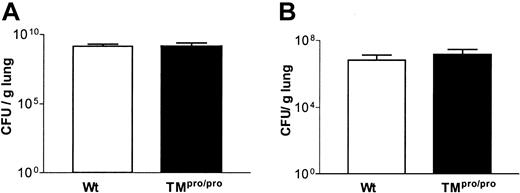 Figure 2. TM does not influence bacterial outgrowth during pneumococcal or Klebsiella pneumonia. (A) S pneumoniae CFUs in lungs of Wt (□) and TMpro/pro (▪) mice 48 hours after intranasal inoculation. (B) K pneumoniae CFUs in lungs of Wt and TMpro/pro mice 24 hours after intranasal inoculation. Data are mean ± SEM; n = 8 per group per time point.