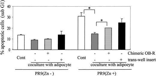 Figure 4. Adipocyte-differentiated MSCs protect PML-RARα–expressing PR9 cells from apoptosis. PR9 cells in the absence or presence of ZnSO4 pretreatment were cultured on adipocyte-differentiated MSC monolayers in the presence of 1 μM ATRA. After 96 hours of coculture, PR9 cells growing at the periphery or on top of the MSCs were harvested by extensive washing, and apoptosis was assessed by DNA flow cytometry (PI staining, sub-G1 region). ATRA-treated PR9 cells with or without ZnSO4 (200 μM) were cultured alone (□), cocultured in direct contact with adipocyte-differentiated MSCs (▦), cocultured in the presence of the chimeric OB-R protein (▤; OB-R competitive inhibitor), or separated from MSCs by a porous transwell inserts (▪). Graph represents mean ± SD of the results obtained in coculture experiments of PR9 cells without ZnSO4 (n = 2) and with ZnSO4 (n = 4). Statistically significant difference (*P < .05) was determined by paired Student t test; for all others, P ≥ .05.