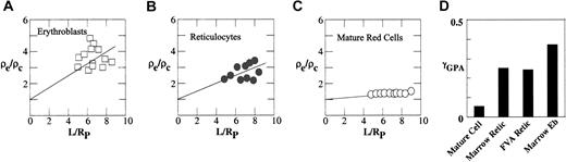 Figure 5. Degree of cytoskeletal attachment of FTSC-labeled GPA. ρe/ρc is plotted against the dimensionless projection length, L/RP for the FIMD of FTSC-labeled GPA in erythroblasts (A), reticulocytes (B), and mature red cells (C). L is the projection length and Rp is the radius of the pipette. Data were fitted by straight lines to calculate γGPA of FTSC-labeled GPA in erythroblasts (Eb), reticulocytes, and mature red cells. γGPA of FTSC-labeled GPA decreased progressively during red cell differentiation and reticulocyte maturation (D).