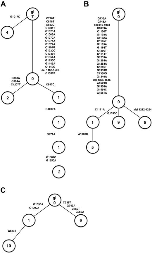 Figure 1. Treelike structure of sequences derived from cloned PCR products. (A) PAX5, patient 2. (B) PAX5, patient 10. (C) RhoH/TTF, patient 10. gl indicates germline sequence.