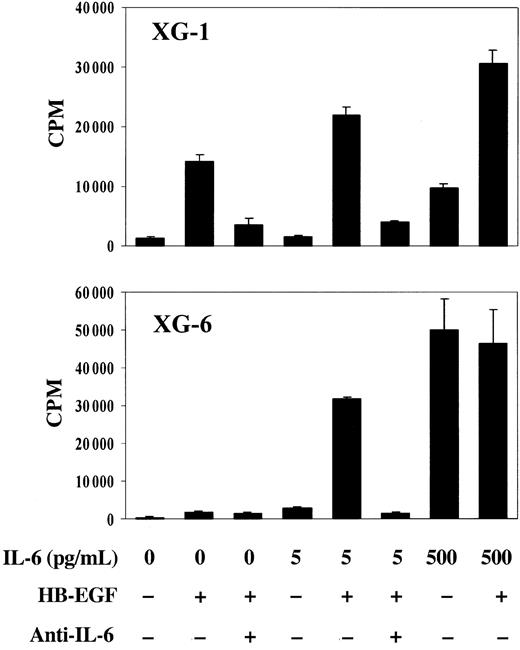 Figure 2. Sensitivity of myeloma cell lines to HB-EGF. XG-1 and XG-6 cells were IL-6 starved for 3 hours and cultured in RPMI 1640 culture medium and 5% FCS with either 5 pg/mL IL-6, or 5 pg/mL IL-6 and 1 μg/mL HB-EGF, or 500 pg/mL IL-6, or 500 pg/mL IL-6 and 1 μg/mL HB-EGF (with or without 10 μg/mL B-E8 anti–IL-6 MoAb). Cells were cultured for 6 days and were pulsed for 12 hours with tritiated thymidine at the end of the culture. Data are means ± SDs of the tritiated thymidine incorporation determined on sixplicate culture wells and are those from one experiment representative of 4.