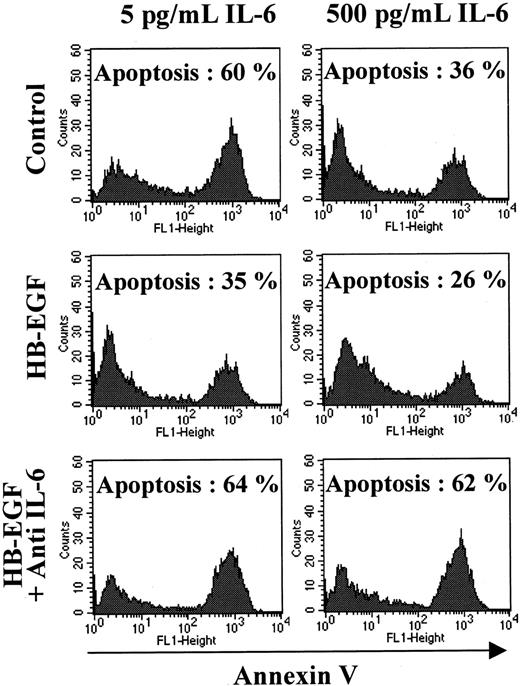 Figure 3. HB-EGF reduces the apoptosis induced by IL-6 removal. XG-1 cells were IL-6 starved for 3 hours and cultured in RPMI 1640 culture medium and 5% FCS with either 5 pg/mL IL-6, or 5 pg/mL IL-6 and 1 μg/mL HB-EGF, or 500 pg/mL IL-6, or 500 pg/mL IL-6 and 1 μg/mL HB-EGF (with or without 10 μg/mL B-E8 anti–IL-6 MoAb). Cells were cultured for 3 days and stained with FITC–annexin V to determine the percentage of apoptotic cells. Results are from one experiment representative of 3.