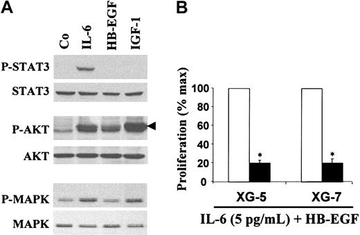 Figure 5. HB-EGF activity is mediated by activation of the PI-3K/AKT pathway. (A) XG-7 myeloma cells were starved overnight in culture medium without serum or cytokines. Cells were then stimulated with either IL-6 (20 ng/mL), IGF-1 (1 μg/mL), or HB-EGF (5 μg/mL) for 15 minutes at 37°C. Lysates from unstimulated (Co) or stimulated myeloma cells were immunoblotted with anti–phospho-specific STAT3 antibody (top panel) and then reprobed with anti-STAT3 antibody (second panel), anti–phospho-specific AKT antibody (third panel) and reprobed with anti-AKT antibody (fourth panel), anti–phospho-specific MAPK antibody (fifth panel) and reprobed with anti-MAPK antibody (bottom panel). (B) XG-5 and XG-7 myeloma cell lines were IL-6 starved for 3 hours and cultured in RPMI 1640 culture medium and 5% FCS with 5 pg/mL IL-6 and 1 μg/mL HB-EGF without (□) or with (▪) the PI-3K inhibitor LY294002 (25 μM). Cells were cultured for 6 days and pulsed with tritiated thymidine at the end of the culture. Mean tritiated thymidine incorporations were determined in sixplicate culture wells and results are expressed as percentages ± SDs of the mean proliferation without ErbB inhibitor. *Indicates that the mean value is statistically significantly different from that obtained with 5 pg/mL IL-6 and HB-EGF without inhibitor, using a Student t test (P ≤ .05).