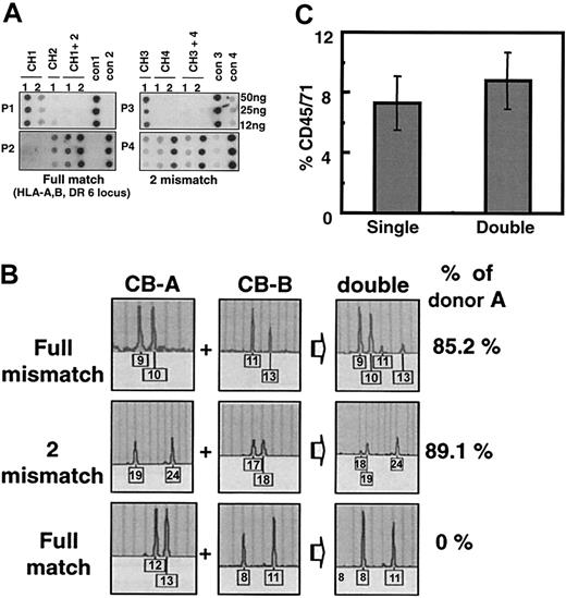 Figure 1. Single-donor predominant engraftment after transplantation of 2 UCBs as a mixture of total mononuclear cells. (A) Donor origin of cord blood cells engrafted in NOD/SCID mice as determined by PCR-SSOP. Combinations of 2 UCB units were made with varying degrees of HLA disparity, and total MNCs corresponding to 5 × 104 CD34+ cells from each unit were infused into irradiated NOD/SCID mice in single (CH1-CH4) or double (CH1 + 2, CH3 + 4) transplantations. Genomic DNA harvested from recipients' bone marrow was subjected to PCR amplification by DPB1 locus-specific primers and were hybridized to allele-specific probes (P1-P4), where positive controls were DNA from donor cells (cont1-cont4). Shown are the results from 2 cohorts of double transplantations with either a full match at 6 loci (HLA-A, B, DR) (left) or 2 mismatches (HLA-B, DR) (right). (B) Profiles of RQ-PCR for the human STR to determine donor ratio of engrafted cells. Genomic DNA was harvested from mouse bone marrow and subjected to RQ-PCR analysis on 16 human STR markers. Shown are the results from a representative marker in each cohort. CB-A and CB-B were artificially nominated for the dominant and nondominant cord unit, respectively. (C) Absence of additive engraftment in transplantation of 2 UCB units as a mixture of total mononuclear cells. Overall engraftment levels of transplanted cord blood cells in NOD/SCID mice were measured by staining harvested mouse bone marrow with human cell–specific anti-CD45/CD71, as described in “Materials and methods.” Shown are the mean engraftment levels ± SEM from single or double cord transplantation (n = 22) from 9 cohorts.