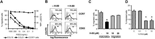 Figure 1. PGE2-induced MoDC migration to CCL19 and CCL21 is PKA and Rho kinase dependent. (A) Titration of PGE2; immature MoDCs were stimulated with sCD40L and titrated concentrations of PGE2. Subsequently, MoDCs were tested for CCL19- and CCL21-triggered migration in transwell assays (left axis) and were analyzed by flow cytometry for the expression of CCR7 (right axis). (B) MoDCs were matured with sCD40L and PGE2 in the presence or absence of the PKA inhibitor H-89 for 48 hours. Subsequently, MoDCs were analyzed by flow cytometry for the expression of CD83 and CCR7. The portion of gated positive cells is given as a percentage, with the mean fluorescence intensity given in parentheses. (C) MoDCs were matured with sCD40L and PGE2 in the presence (▪) or absence (▨) of the PKA inhibitor H-89, or MoDCs matured with sCD40L and PGE2 were preincubated with H-89 for 30 minutes (▦) before they were allowed to migrate in response to CCL21. (D) MoDCs matured with sCD40L and PGE2 were left untreated (▨) or were pretreated with the Rho kinase inhibitor Y-27632 (▦) and were analyzed in a migration assay in response to CCL21. Results from 1 of 3 representative experiments are shown. Error bars indicate SEM and asterisks indicate a significant reduction.