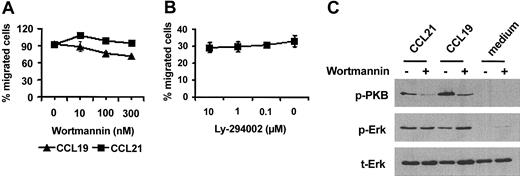 Figure 3. Activation of PKB is not required for the migration of MoDCs in response to CCL19 and CCL21. MoDCs matured in the presence of PGE2 were incubated for 30 minutes with graded doses of (A) wortmannin or (B) Ly-294002 and were tested for migration to CCL21 and CCL19 in a transwell assay. Error bars indicate SEM. (C) To confirm the effectiveness of wortmannin, MoDCs treated with or without wortmannin were stimulated with CCL19 or CCL21 for 2 minutes. Whole-cell lysates were separated on SDS-PAGE, and activated PKB or Erk-1/2 was detected with an antibody against PKB phosphorylated at S473 (p-PKB) or Erk-1/2 dually phosphorylated at Thr202 and Tyr204 (p-Erk). Membranes were reprobed with an antibody reacting with total Erk-1/2 (t-Erk) to confirm equal protein loading. Results from 1 of 3 representative experiments using different MoDC preparations are shown.