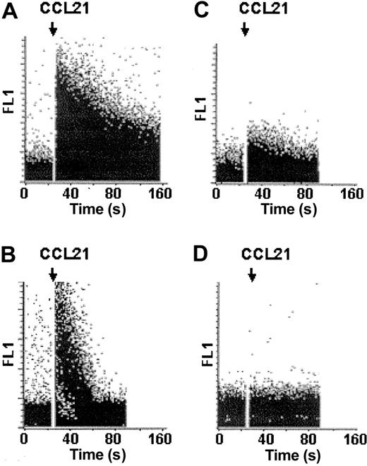 Figure 5. CCL21 mediates Ca2+ mobilization from intracellular stores. MoDCs stimulated with sCD40L and PGE2 were loaded with fluo-3-AM, and chemokine-induced Ca2+ mobilization was analyzed using flow cytometry (A). Experiments (B-D) were performed in Ca2+-free buffer in the presence of 2 mM EGTA. (C-D) The release of Ca2+ from intracellular stores was inhibited by the addition of the PLC inhibitor U73122 (10 μM). Baseline was established for 30 seconds before CCL21 (250 ng/mL) was added, as indicated by the arrow. Representative results obtained from MoDCs of a single donor are shown. At least 3 independent experiments with MoDCs from different donors gave similar results.