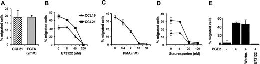 Figure 6. PLC pathway is involved in MoDC migration to CCL19, CCL21, and CXCL12. (A) MoDCs matured with sCD40L and PGE2 were analyzed in a migration assay in response to CCL21 in the absence (▨) or presence (▦) of 2 mM EGTA in the assay buffer. MoDCs matured with sCD40L and PGE2 were incubated with titrated concentrations of (B) the PLC inhibitor U73122, (C) the PKC activator PMA, or (D) the PKC inhibitor staurosporine for 30 minutes at 37°C before migration to CCL19 and CCL21was analyzed in a transwell chemotaxis assay. (E) Migration to CXCL12 of MoDCs matured in the presence or absence of PGE2. The PI3K inhibitor wortmannin was used at 100 nM, and U73122 was used at 10 μM. Results from representative experiments of at least 3 different MoDC preparations are shown. Error bars indicate SEM.