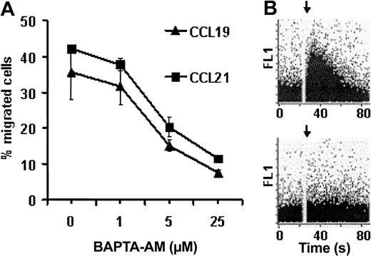 Figure 7. Chemokine-induced Ca2+ mobilization is required for the migration of MoDCs to CCL19 and CCL21. (A) sCD40L- and PGE2-stimulated MoDCs were incubated with graded doses of BAPTA-AM for 30 minutes at room temperature before migration to CCL19 and CCL21 was analyzed in a transwell chemotaxis assay. Error bars indicate SEM. (B) sCD40L- and PGE2-stimulated MoDCs were loaded with fluo-3-AM alone (top) or with BAPTA-AM (bottom). Chemokine-induced Ca2+ mobilization was analyzed by flow cytometry. Baseline was established for 30 seconds before CCL21 was added, as indicated by the arrow. Representative results obtained from MoDCs of a single donor are shown. Three independent experiments with MoDCs from different donors yielded similar results.