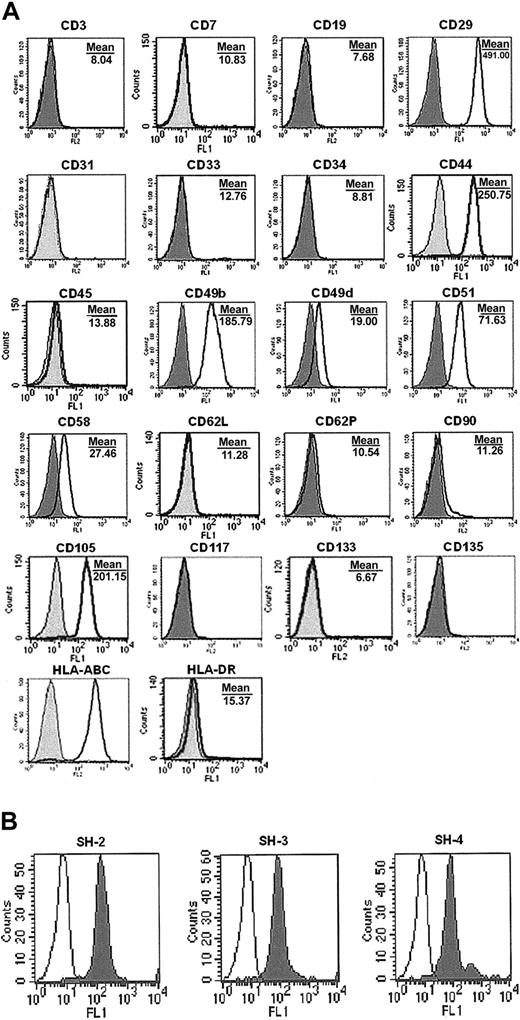 Figure 2. Phenotype of UCB MSCs. Cells were cultured for 5 to 7 passages, harvested, and labeled with antibodies against human antigens (A) CD3, CD7, CD19, CD29, CD31, CD33, CD34, CD44, CD45, CD49b, CD49d, CD51, CD58, CD62L, CD62P, CD90, CD105, CD117, CD133, CD135, HLA-ABC, and HLA-DR, and with (B) SH-2, SH-3, SH-4, as indicated and analyzed by FACS. (A) Shaded histogram indicates background signal; open histogram, positive reactivity with the indicated antibody. (B) Open histogram indicates background signal; shaded histogram, positive reactivity.