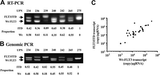 Figure 2. Proportion of the Wt- and mutant-FLT3 fragments. Representative results of RT-PCR (A) and genomic PCR (B) in 7 AML samples with FLT3/ITD are shown. The proportion given for each sample denotes the relative intensity of Wt-FLT3 and FLT3/ITD fragments. Each relative proportion obtained by RT-PCR was consistent with that by genomic PCR. (C) The correlation between the expression levels of the Wt-FLT3 and FLT3/ITD transcripts in 34 AML samples with FLT3/ITD is shown. Four AML samples, which lost the Wt-FLT3 allele, were excluded from this analysis. Both expression levels were closely correlated (P < .0001 by the Spearman rank correlation test).