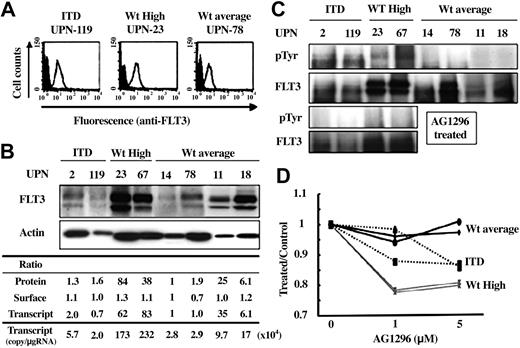 Figure 3. Biologic effects of the expression level of the FLT3 transcript. Biologic effects of the FLT3 transcript level were analyzed by using 8 AML samples harboring a normal karyotype. Two—UPNs 2 (FAB, M4) and 119 (M4)—had FLT3/ITD, and 6—UPNs 14 (M2), 78 (M2), 11 (M1), 18 (M5), 23 (M0), and 67 (M1)—had Wt-FLT3. Of these AML samples, UPN-23 had both MLL-TD and N-RAS mutations, but the others did not have FLT3/D835, MLL-TD, p53, or N-RAS mutations. (A) Surface expression level of FLT3 was examined by flow cytometry. There was no marked difference according to the expression level of the FLT3 transcript. Open and filled histograms indicate staining with anti-FLT3 and isotype control, respectively. (B) Immunoblot analysis revealed that the total cellular level of FLT3 protein reflected the expression level of the FLT3 transcript. Each expression level of FLT3 protein was adjusted to that of Actin protein. Ratio indicates the relative expression level of the whole cellular protein (Protein), surface protein (Surface), and the transcript when compared with that of UPN 14. (C) Tyrosine phosphorylation of each FLT3 protein was examined. Overexpressed Wt-FLT3 was phosphorylated as well as FLT3/ITD (upper 2 panels). These phosphorylations were inhibited by treatment with AG1296 for 3 hours (lower 2 panels). (D) Cell viability was measured by using the CellTiter96 Proliferation Assay 72 hours after the addition of AG1296 at the indicated concentration to primary AML cells. The y-axis indicates the ratio of absorbance for AG1296-treated cells to untreated cells. Wt-average indicates the results from UPNs 14 and 78 cases, ITD from UPNs 2 and 119, and Wt-High from UPN-23 and -67.