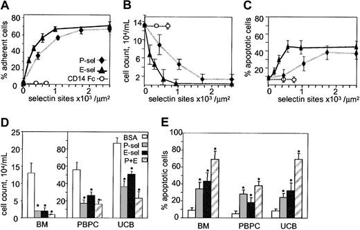 Figure 1. Human CD34+ HPCs adhere to P- and E-selectins resulting in growth inhibition and apoptosis. (A) Dose-dependent adhesion of CD34+ HPCs to microwells coated with increasing concentrations of CD14-Fc control or E- and P-selectin–Fc. (B) BM CD34+ proliferation at day 7 of culture in the presence of 36GS on microwells coated with increasing concentrations of CD14-Fc (○), E-selectin-Fc (▴) or P-selectin-Fc (♦). Cells were seeded at 104/mL. (C) Apoptosis of BM CD34+ cells at day 7 of culture in the presence of 36GS on microwells coated with increasing concentrations of CD14-Fc, E-selectin–Fc, or P-selectin–Fc. (D) Proliferation of CD34+ cells isolated from steady-state BM, mobilized peripheral blood (PBPC), or umbilical cord blood (UCB) on microwells coated with BSA (10 μg/mL), P-selectin (1800 sites/μm2), or E-selectin (550 sites/μm2) alone or in combination (P+E). Cells (104/mL) were seeded at day 0 in the presence of 36GS and counted on day 7. *indicates statistically different (P < .05) from BSA-treated control group. (E) Apoptosis of CD34+ cells isolated from steady-state BM, mobilized peripheral blood, or umbilical cord blood on microwells coated as described for panel D with BSA, P- or E-selectin alone, or in combination. Cells were grown in the presence of 36GS and TUNEL assays performed on day 7. (A-C) Data are expressed as a mean ± SD of one representative experiment. (D-E) Data are expressed as mean ± SEM for 3 independent experiments on BM, peripheral blood, or umbilical cord blood CD34+ HPCs. * indicates statistically different (P < .05) from BSA control groups.