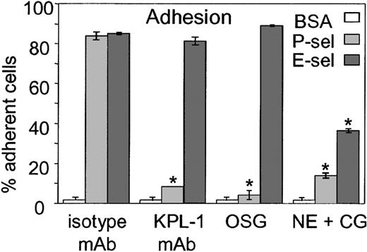 Figure 2. Differing adhesion of human CD34+ cells to P- and E-selectin in the presence of function-blocking antibody to PSGL-1 or the proteases O-sialoglycoprotein endopeptidase, neutrophil elastase, and cathepsin G. CD34+ HPCs were preincubated with either isotype control mAb, KPL1 mAb, O-sialoglycoprotein endopeptidase (OSG), or a combination of neutrophil elastase and cathepsin G (NE+CG) and added to microwells coated with 10 μg/mL BSA, P-selectin (1800 sites/μm2), or E-selectin (550 sites/μm2). Results are expressed as mean ± SD of one representative experiment from 3 made in triplicate. *indicates statistically different (P < .05) from isotype-treated control groups.