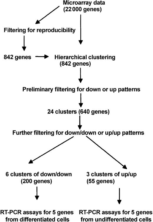 Figure 5. Scheme for analysis of data from microarrays.