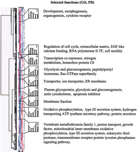 Figure 6. Hierarchical cluster analyses of 842 genes expressed in SD and control cells. The data on samples are presented in the order (left to right) day 0, 3wkSD, +5dSDS, 3wkS, + 5dSS (see Figure 4A).