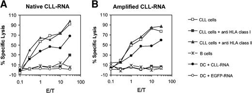 Figure 4. Induction of CTLs in vitro by using amplified CLL RNA. The cytotoxicity of CTLs induced with autologous DCs that were electroporated with native total CLL RNA or amplified CLL mRNA isolated from autologous CLL cells was analyzed in a standard 51Cr-release assay by using autologous purified leukemic cells or nonmalignant B lymphocytes as targets. Inhibition of HLA class I or class II molecules was performed by incubating DCs for 1 hour prior to the assay either with the mAb W06/32 (directed against HLA class I) or Tü39 (directed against HLA class II molecules).