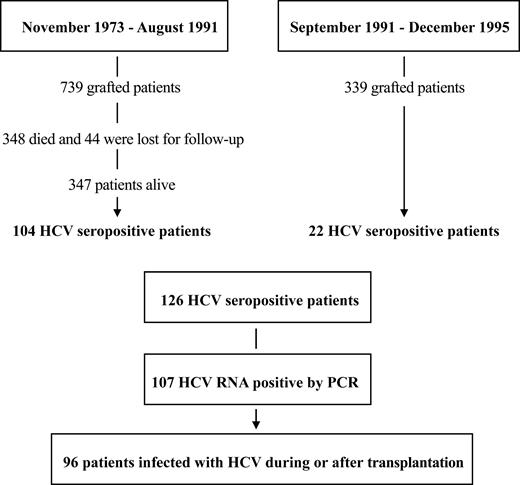 Figure 1. Flow chart of the patient population. From November 1973 to December 1995, 1078 patients underwent bone marrow transplantation.